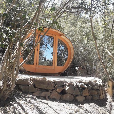 Biosfera Lodge Olmué Εξωτερικό φωτογραφία