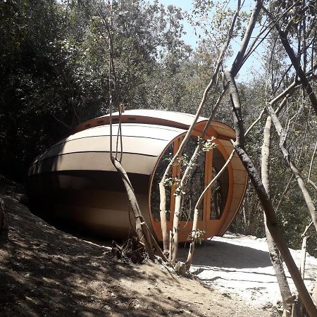 Biosfera Lodge Olmué Εξωτερικό φωτογραφία