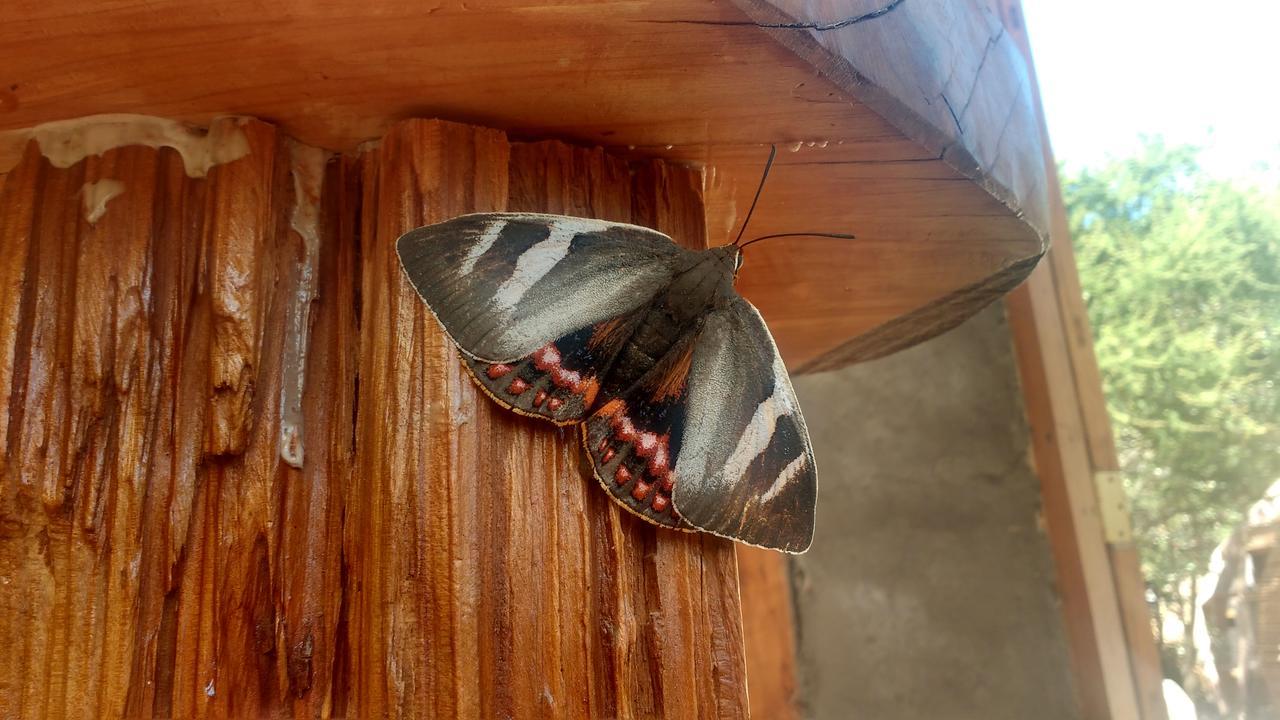 Biosfera Lodge Olmué Εξωτερικό φωτογραφία