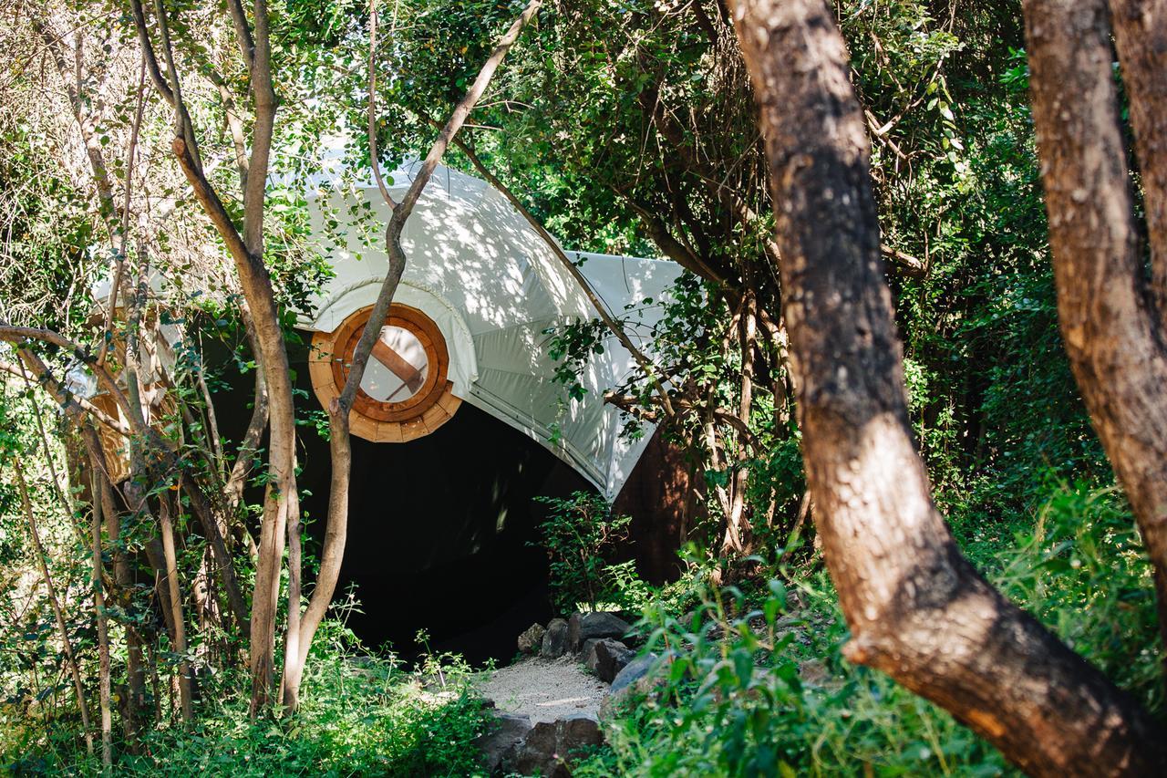 Biosfera Lodge Olmué Εξωτερικό φωτογραφία