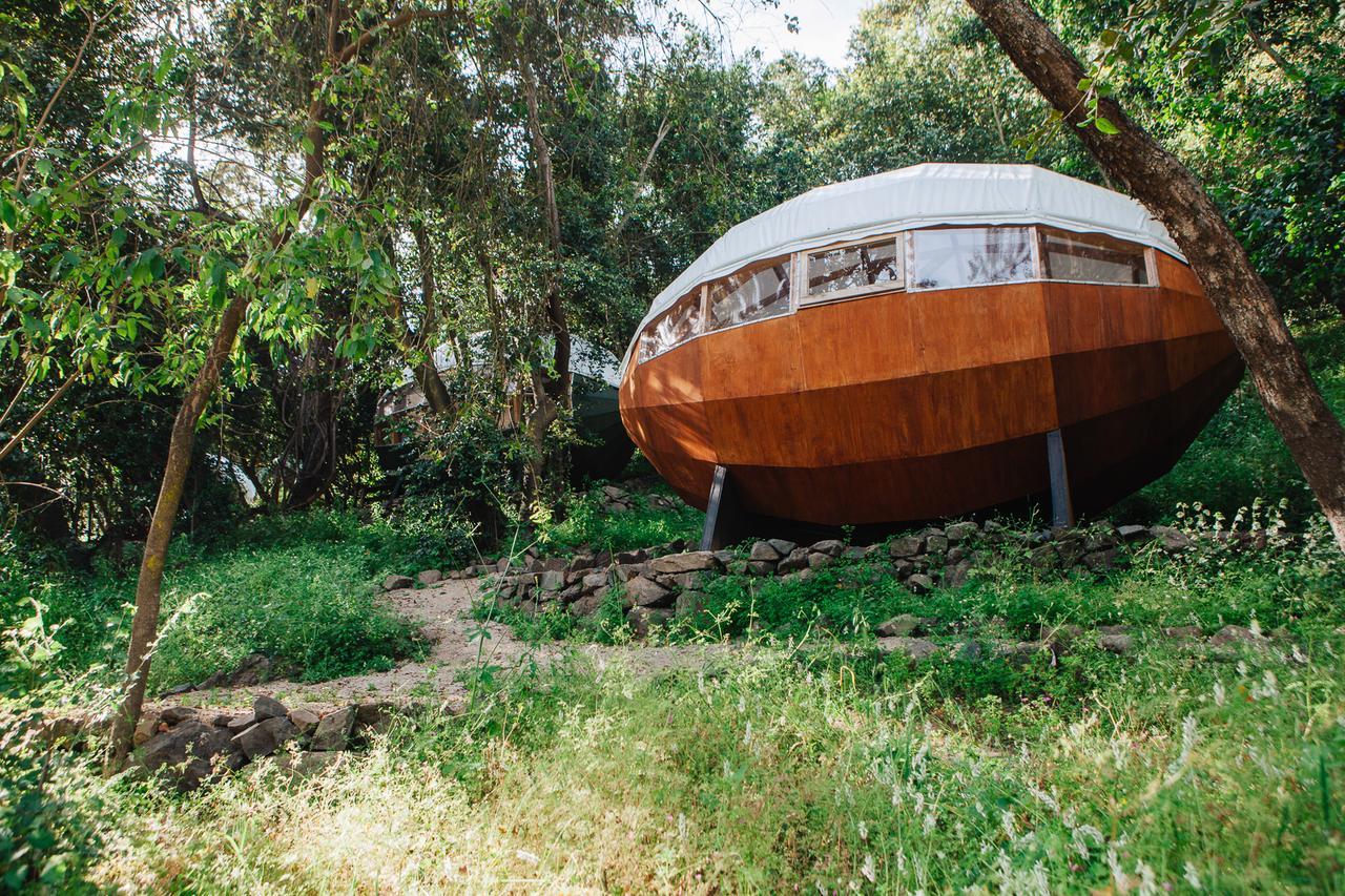 Biosfera Lodge Olmué Εξωτερικό φωτογραφία