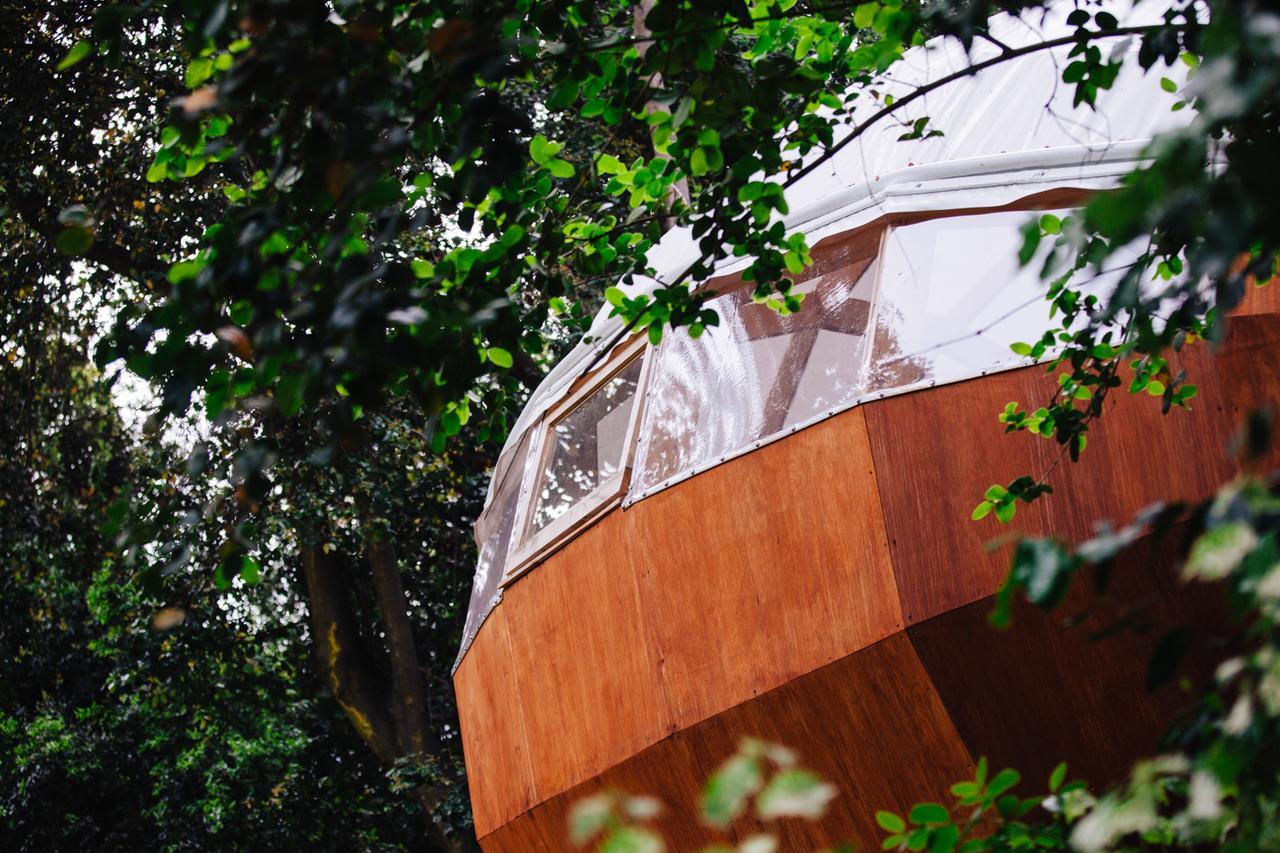 Biosfera Lodge Olmué Εξωτερικό φωτογραφία