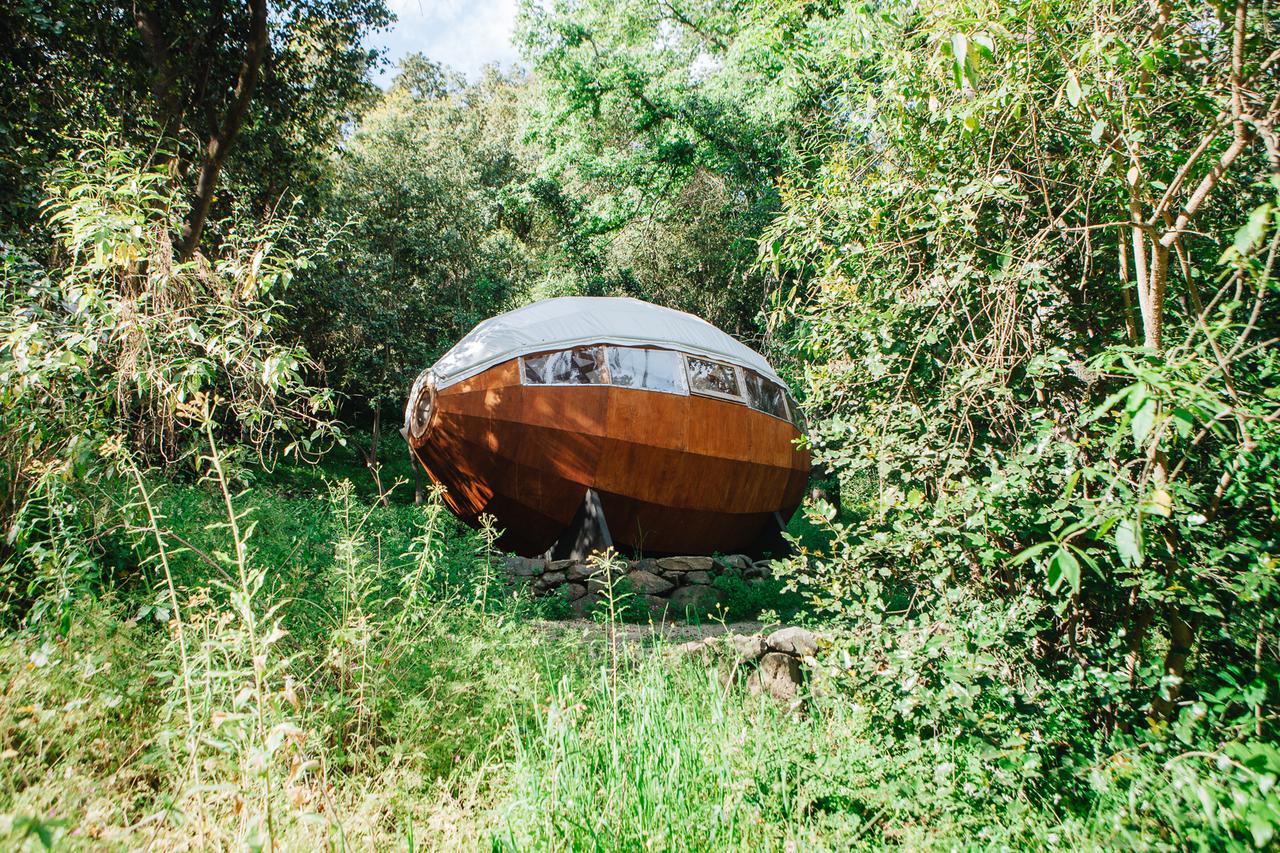 Biosfera Lodge Olmué Εξωτερικό φωτογραφία