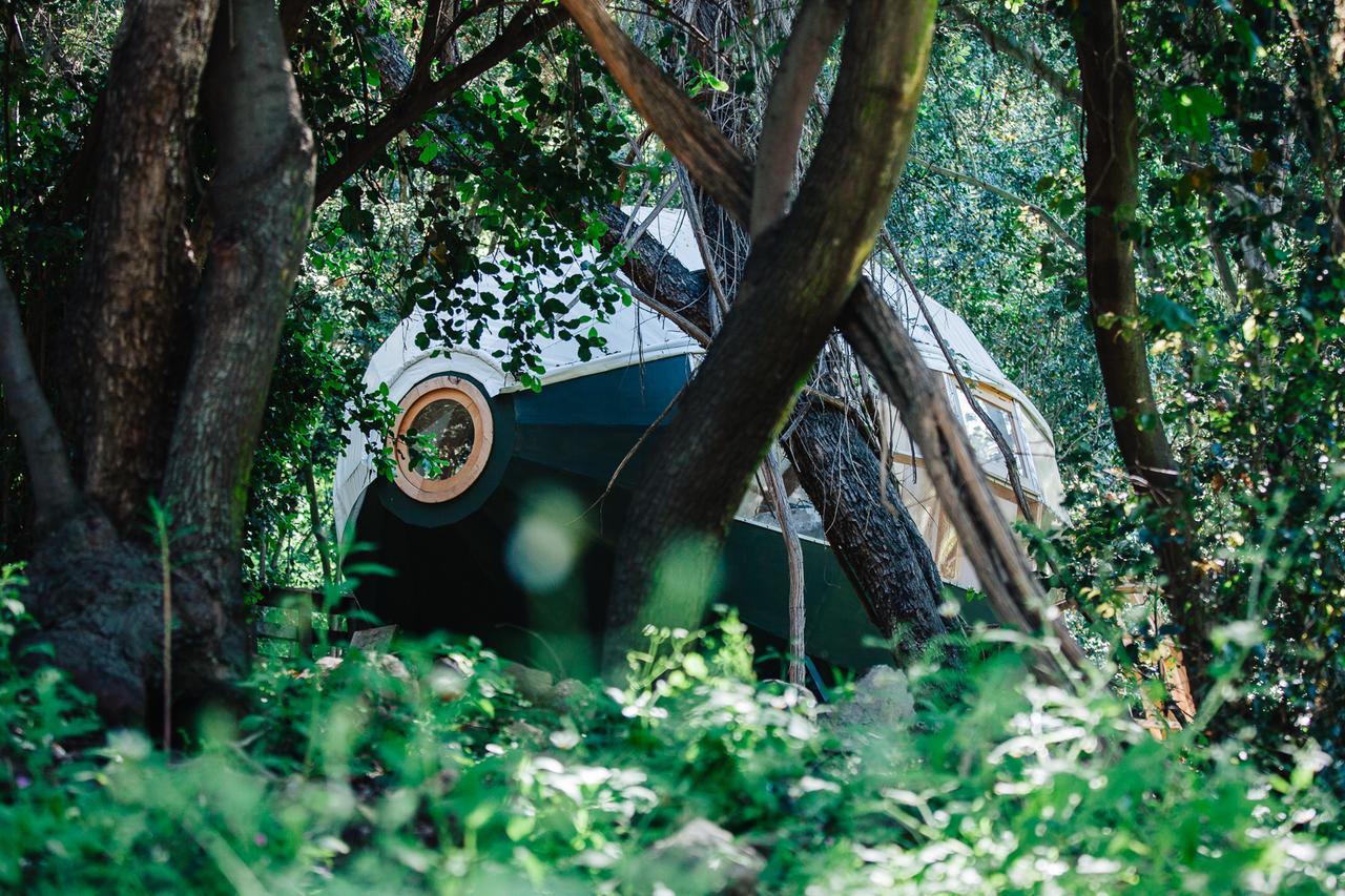 Biosfera Lodge Olmué Εξωτερικό φωτογραφία