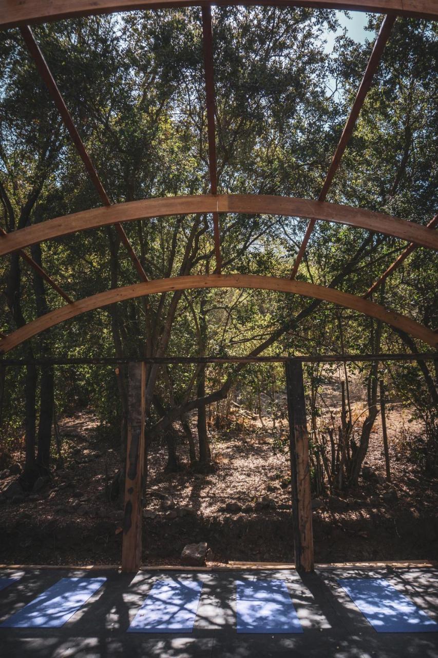 Biosfera Lodge Olmué Εξωτερικό φωτογραφία