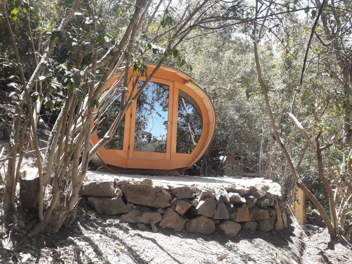 Biosfera Lodge Olmué Εξωτερικό φωτογραφία