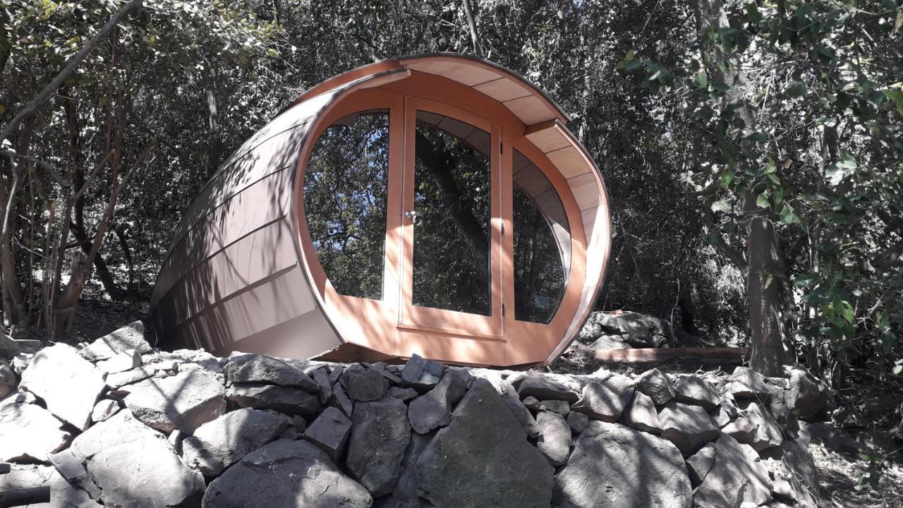 Biosfera Lodge Olmué Εξωτερικό φωτογραφία